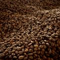 Kawa palona ziarnista - 80% Arabica, 20% Robusta, SC 15+ - zdjęcie 1
