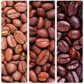 Kawa palona ziarnista - 80% Arabica, 20% Robusta, SC 15+ - zdjęcie 3