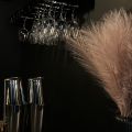 Gotowy biznes - bar & shisha bar - zdjęcie 2