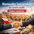 Czeski przedsiębiorca szuka produktu / usługi z Polski - dystrybucja