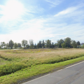 Działka pod inwestycję, 5450 m2, Wińsko - zdjęcie 3