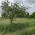 Działka pod inwestycję, 5450 m2, Wińsko - zdjęcie 2