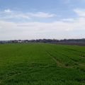Działka 1,36 ha pod zabudowę wielorodzinną | MPZP | Rawicz