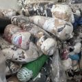 Oddam ścinki - bawełna z elastanem i poliestrem - zdjęcie 2