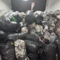 Oddam ścinki - bawełna z elastanem i poliestrem - zdjęcie 1