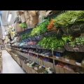 Likwidacja hurtowni kwiaty zabawki i inne - cały stok