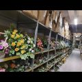 Likwidacja hurtowni kwiaty zabawki i inne - cały stok - zdjęcie 2