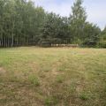 Współpraca (działalność) - stodoła, obora, pole 1,4 ha - zdjęcie 3