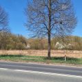 Poręba k/Zawiercia - teren inwestycyjny przy głównej drodze - zdjęcie 4