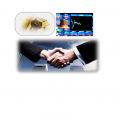 Partner biznesowy/manadżer / handlowiec - zdjęcie 1