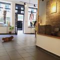 Sprzedam dochodowy sklep odzieżowy w centrum - zdjęcie 2