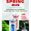 Spring energy drink - zdjęcie 3